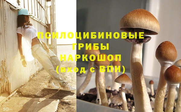 ALPHA PVP Аркадак