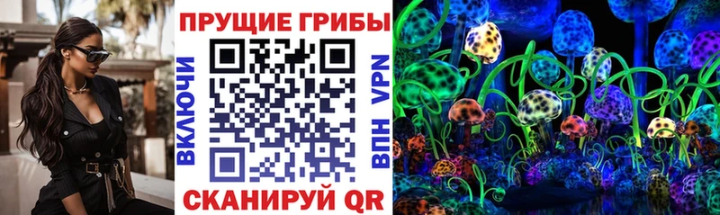Галлюциногенные грибы ЛСД  Боготол 